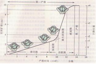 2010年醫(yī)療器械行業(yè)即將進(jìn)入高標(biāo)準(zhǔn)時代
